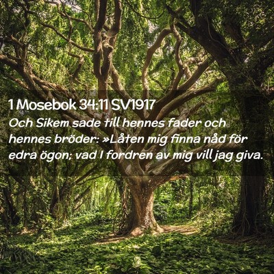 Picture 02 - 1 Mosebok 34:11 SV1917 - Och Sikem sade till hennes fader och hennes - Bible Verse Picture