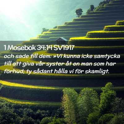 Picture 02 - 1 Mosebok 34:14 SV1917 - och sade till dem: »Vi kunna icke samtycka till - Bible Verse Picture