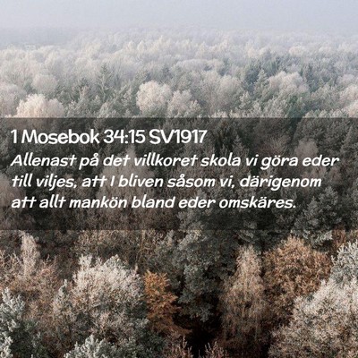 Picture 02 - 1 Mosebok 34:15 SV1917 - Allenast på det villkoret skola vi göra eder - Bible Verse Picture