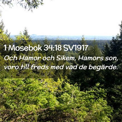 Picture 02 - 1 Mosebok 34:18 SV1917 - Och Hamor och Sikem, Hamors son, voro till freds - Bible Verse Picture
