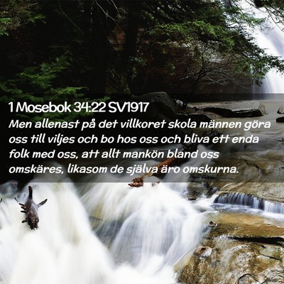 Picture 02 - 1 Mosebok 34:22 SV1917 - Men allenast på det villkoret skola männen - Bible Verse Picture