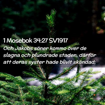 Picture 02 - 1 Mosebok 34:27 SV1917 - Och Jakobs söner kommo över de slagna och - Bible Verse Picture