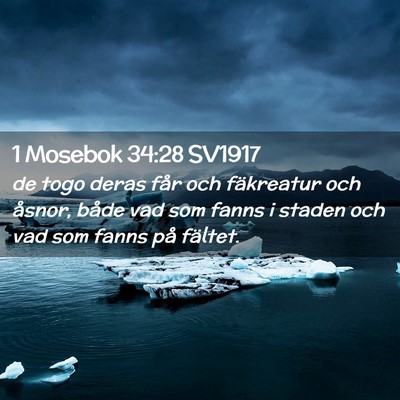 Picture 02 - 1 Mosebok 34:28 SV1917 - de togo deras får och fäkreatur och åsnor, - Bible Verse Picture