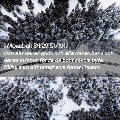 Picture 02 - 1 Mosebok 34:29 SV1917 - Och allt deras gods och alla deras barn och deras - Bible Verse Picture