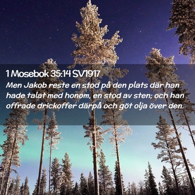 Picture 02 - 1 Mosebok 35:14 SV1917 - Men Jakob reste en stod på den plats där han - Bible Verse Picture