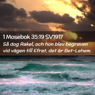 Picture 02 - 1 Mosebok 35:19 SV1917 - Så dog Rakel, och hon blev begraven vid vägen - Bible Verse Picture