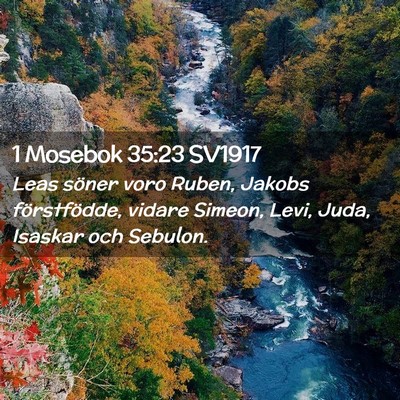 Picture 02 - 1 Mosebok 35:23 SV1917 - Leas söner voro Ruben, Jakobs förstfödde, - Bible Verse Picture