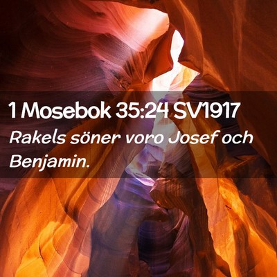 Picture 02 - 1 Mosebok 35:24 SV1917 - Rakels söner voro Josef och - Bible Verse Picture