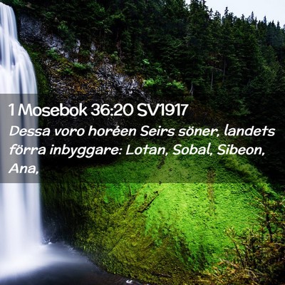 Picture 02 - 1 Mosebok 36:20 SV1917 - Dessa voro horéen Seirs söner, landets förra - Bible Verse Picture