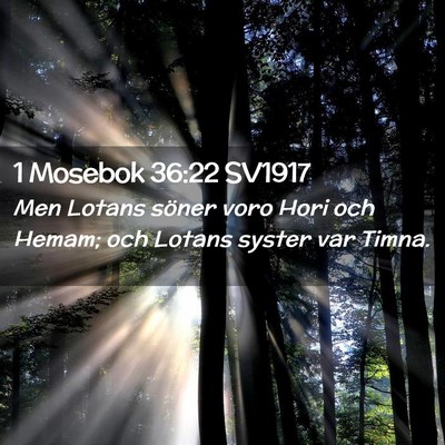 Picture 02 - 1 Mosebok 36:22 SV1917 - Men Lotans söner voro Hori och Hemam; och Lotans - Bible Verse Picture