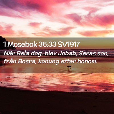Picture 02 - 1 Mosebok 36:33 SV1917 - När Bela dog, blev Jobab, Seras son, från - Bible Verse Picture