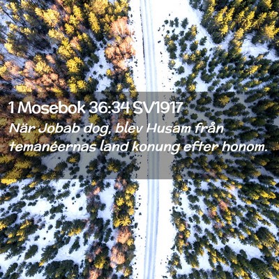 Picture 02 - 1 Mosebok 36:34 SV1917 - När Jobab dog, blev Husam från temanéernas - Bible Verse Picture