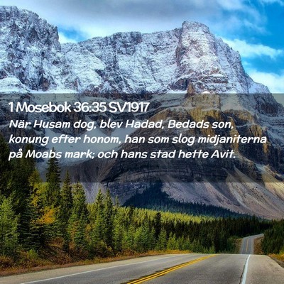 Picture 02 - 1 Mosebok 36:35 SV1917 - När Husam dog, blev Hadad, Bedads son, konung - Bible Verse Picture