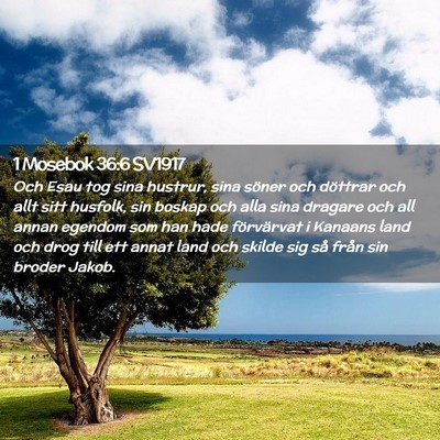 Picture 02 - 1 Mosebok 36:6 SV1917 - Och Esau tog sina hustrur, sina söner och - Bible Verse Picture