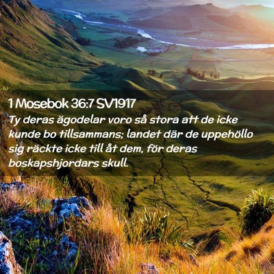 Picture 02 - 1 Mosebok 36:7 SV1917 - Ty deras ägodelar voro så stora att de icke - Bible Verse Picture