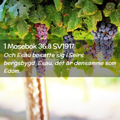 Picture 02 - 1 Mosebok 36:8 SV1917 - Och Esau bosatte sig i Seirs bergsbygd. Esau, det - Bible Verse Picture