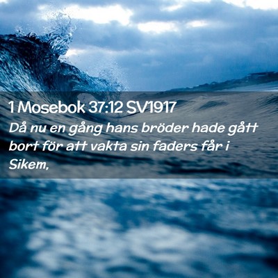 Picture 02 - 1 Mosebok 37:12 SV1917 - Då nu en gång hans bröder hade gått bort för - Bible Verse Picture