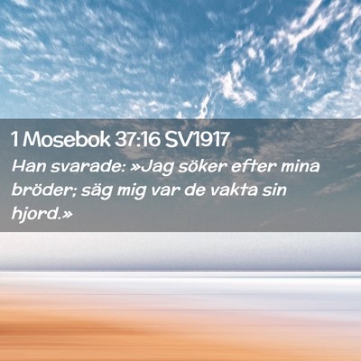 Picture 02 - 1 Mosebok 37:16 SV1917 - Han svarade: »Jag söker efter mina bröder; - Bible Verse Picture