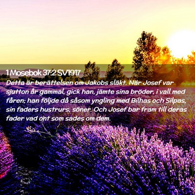 Picture 02 - 1 Mosebok 37:2 SV1917 - Detta är berättelsen om Jakobs släkt. När - Bible Verse Picture