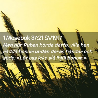 Picture 02 - 1 Mosebok 37:21 SV1917 - Men när Ruben hörde detta, ville han rädda - Bible Verse Picture