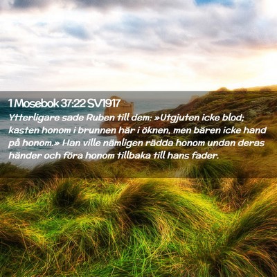 Picture 02 - 1 Mosebok 37:22 SV1917 - Ytterligare sade Ruben till dem: »Utgjuten icke - Bible Verse Picture