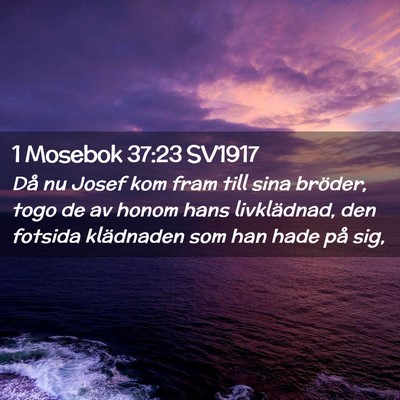 Picture 02 - 1 Mosebok 37:23 SV1917 - Då nu Josef kom fram till sina bröder, togo de - Bible Verse Picture