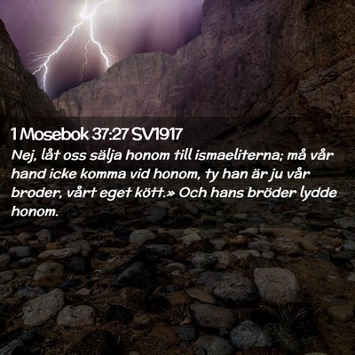 Picture 02 - 1 Mosebok 37:27 SV1917 - Nej, låt oss sälja honom till ismaeliterna; må - Bible Verse Picture