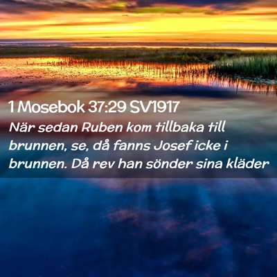Picture 02 - 1 Mosebok 37:29 SV1917 - När sedan Ruben kom tillbaka till brunnen, se, - Bible Verse Picture