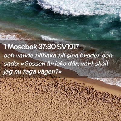 Picture 02 - 1 Mosebok 37:30 SV1917 - och vände tillbaka till sina bröder och sade: - Bible Verse Picture