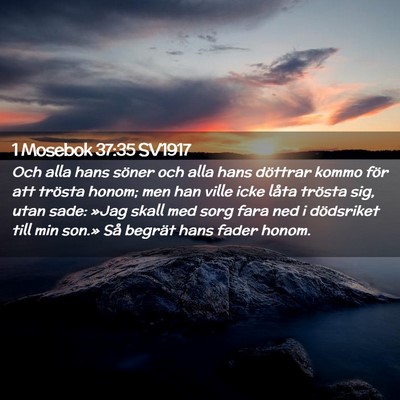 Picture 02 - 1 Mosebok 37:35 SV1917 - Och alla hans söner och alla hans döttrar kommo - Bible Verse Picture