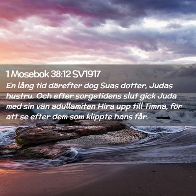 Picture 02 - 1 Mosebok 38:12 SV1917 - En lång tid därefter dog Suas dotter, Judas - Bible Verse Picture