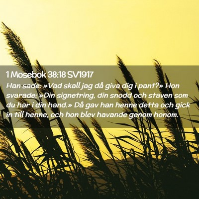 Picture 02 - 1 Mosebok 38:18 SV1917 - Han sade: »Vad skall jag då giva dig i pant?» - Bible Verse Picture