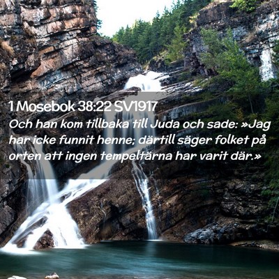 Picture 02 - 1 Mosebok 38:22 SV1917 - Och han kom tillbaka till Juda och sade: »Jag - Bible Verse Picture