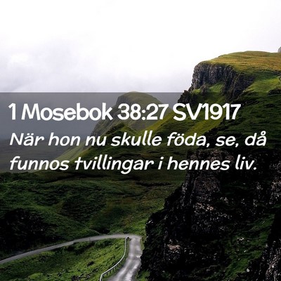 Picture 02 - 1 Mosebok 38:27 SV1917 - När hon nu skulle föda, se, då funnos - Bible Verse Picture