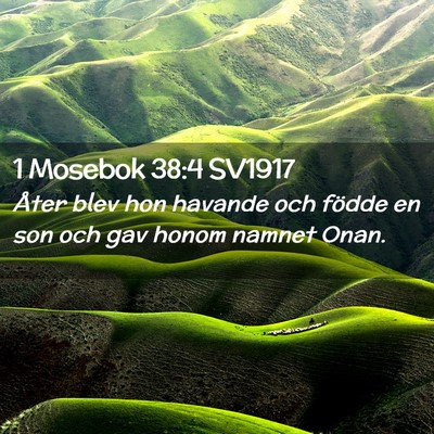 Picture 02 - 1 Mosebok 38:4 SV1917 - Åter blev hon havande och födde en son och gav - Bible Verse Picture