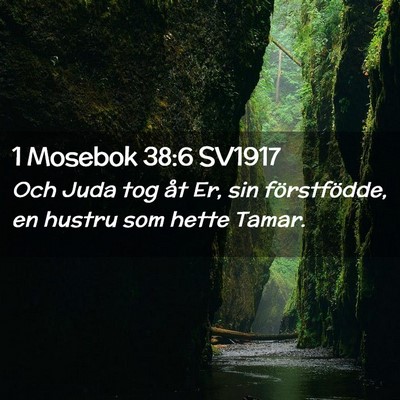 Picture 02 - 1 Mosebok 38:6 SV1917 - Och Juda tog åt Er, sin förstfödde, en hustru - Bible Verse Picture