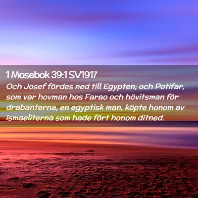 Picture 02 - 1 Mosebok 39:1 SV1917 - Och Josef fördes ned till Egypten; och Potifar, - Bible Verse Picture