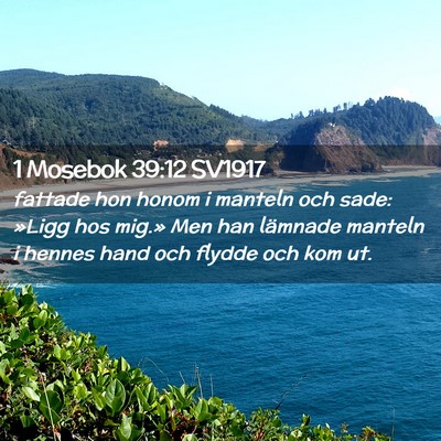 Picture 02 - 1 Mosebok 39:12 SV1917 - fattade hon honom i manteln och sade: »Ligg hos - Bible Verse Picture