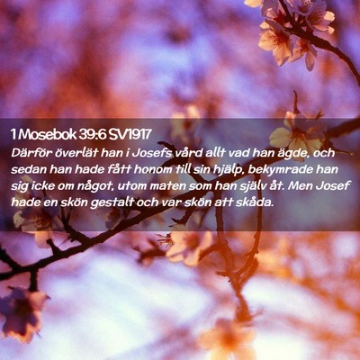 Picture 02 - 1 Mosebok 39:6 SV1917 - Därför överlät han i Josefs vård allt vad - Bible Verse Picture