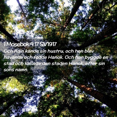 Picture 02 - 1 Mosebok 4:17 SV1917 - Och Kain kände sin hustru, och hon blev havande - Bible Verse Picture