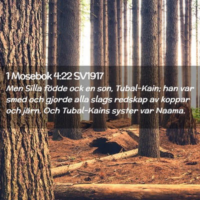 Picture 02 - 1 Mosebok 4:22 SV1917 - Men Silla födde ock en son, Tubal-Kain; han var - Bible Verse Picture