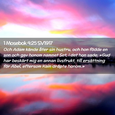 Picture 02 - 1 Mosebok 4:25 SV1917 - Och Adam kände åter sin hustru, och hon födde - Bible Verse Picture