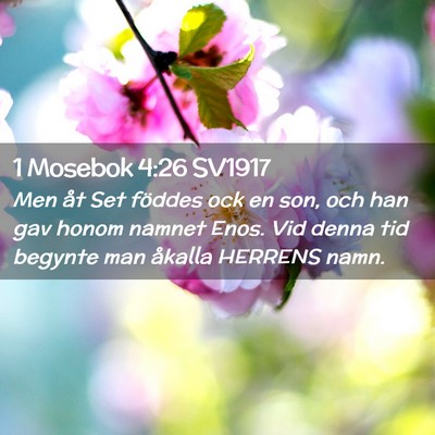 Picture 02 - 1 Mosebok 4:26 SV1917 - Men åt Set föddes ock en son, och han gav honom - Bible Verse Picture