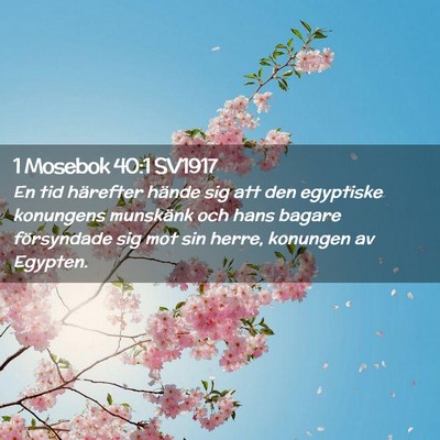 Picture 02 - 1 Mosebok 40:1 SV1917 - En tid härefter hände sig att den egyptiske - Bible Verse Picture