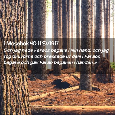 Picture 02 - 1 Mosebok 40:11 SV1917 - Och jag hade Faraos bägare i min hand, och jag - Bible Verse Picture