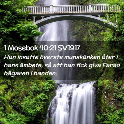 Picture 02 - 1 Mosebok 40:21 SV1917 - Han insatte överste munskänken åter i hans - Bible Verse Picture