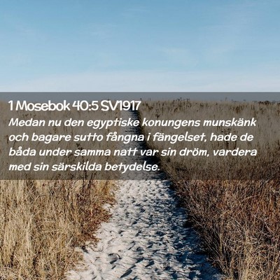 Picture 02 - 1 Mosebok 40:5 SV1917 - Medan nu den egyptiske konungens munskänk och - Bible Verse Picture