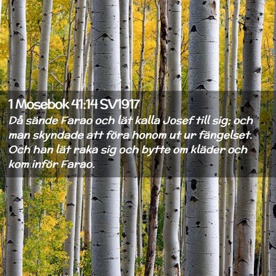 Picture 02 - 1 Mosebok 41:14 SV1917 - Då sände Farao och lät kalla Josef till sig; - Bible Verse Picture
