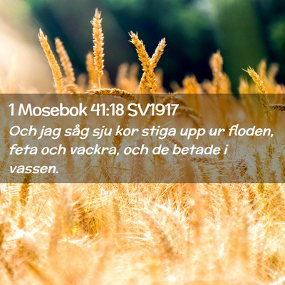 Picture 02 - 1 Mosebok 41:18 SV1917 - Och jag såg sju kor stiga upp ur floden, feta - Bible Verse Picture