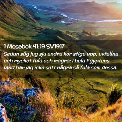 Picture 02 - 1 Mosebok 41:19 SV1917 - Sedan såg jag sju andra kor stiga upp, avfallna - Bible Verse Picture